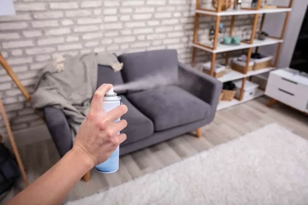 Jak odświeżyć zapach kanapy i pozbyć się nieprzyjemnych aromatów