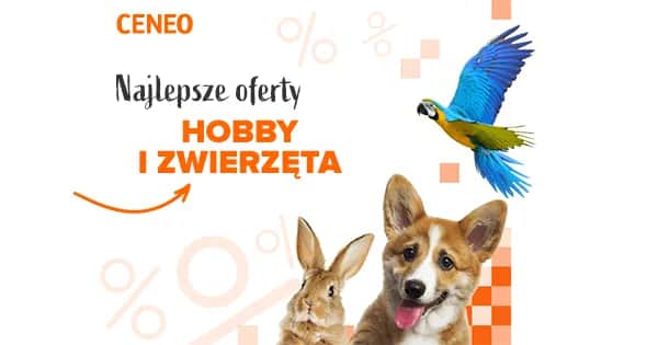 Jak udekorować stół na rocznicę ślubu - 10 wyjątkowych pomysłów