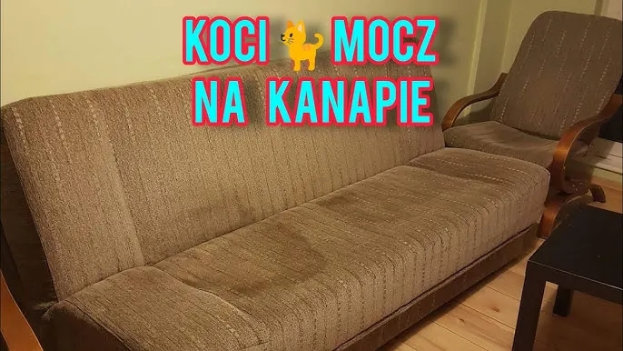 Jak wyprać kanapę z moczu i skutecznie usunąć zapach oraz plamy